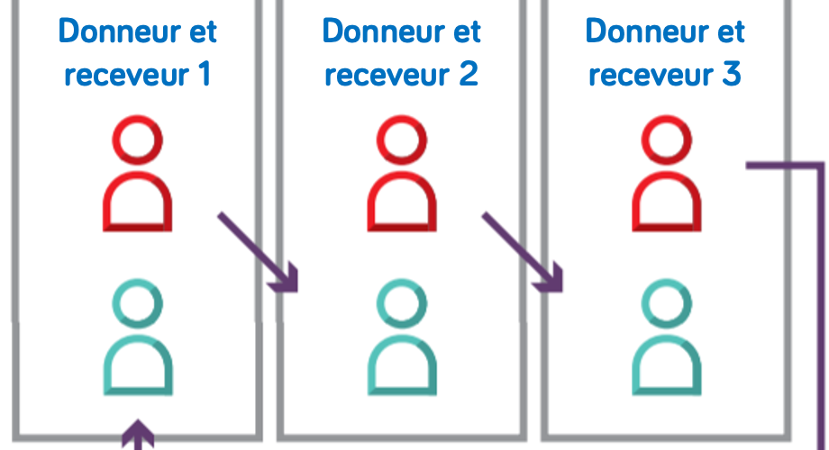  Dons croisés : un premier triplet, permettant trois greffes rénales, entre Reims et Bordeaux !