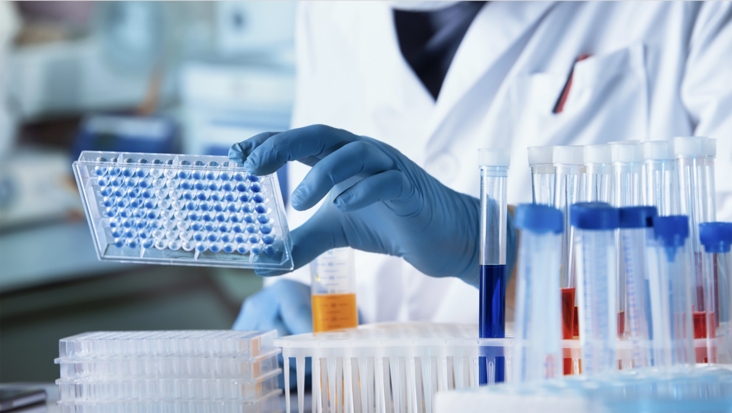 2025biologie1